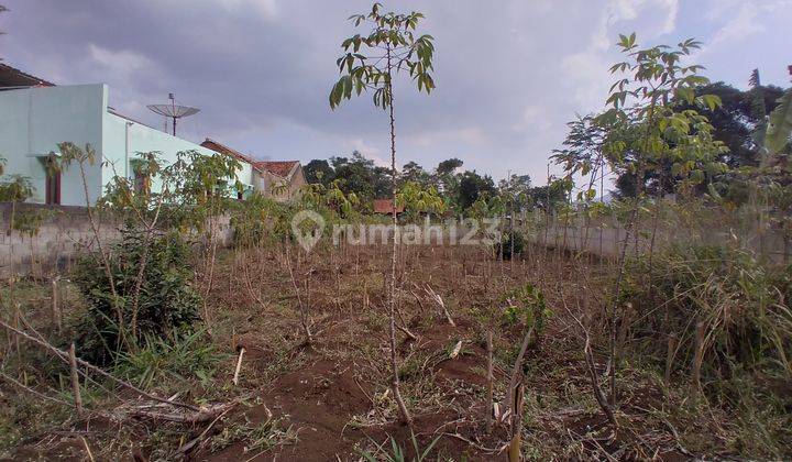 Tanah matang di sumedang jawa barat 1