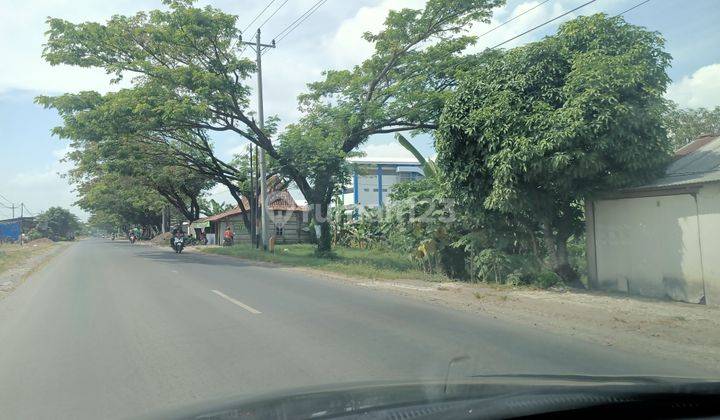 Zona merah untuk kawasan industri di Purwodadi Grobogan Jawa tengah 1