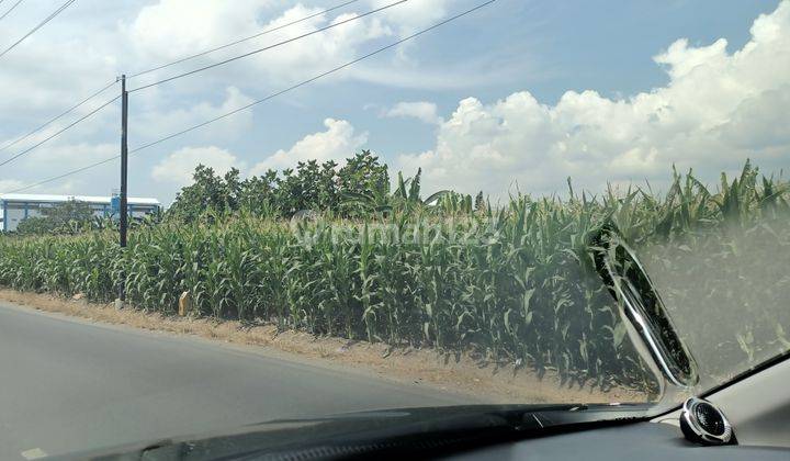 Zona merah untuk kawasan industri di Purwodadi Grobogan Jawa tengah 2