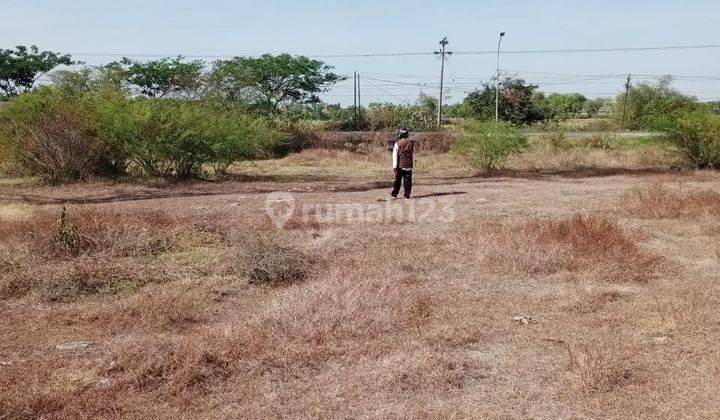 Tanah Nol Jalan Raya Jenu Tuban 1