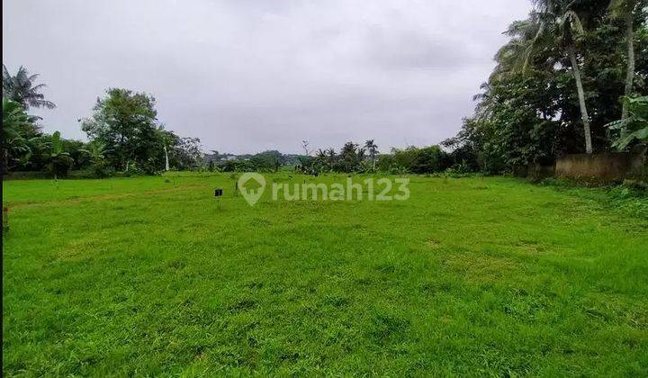 Tanah Luas Murah Dekat Dramaga, Ipb, Cifor, Tol Lingkar Bogor 1