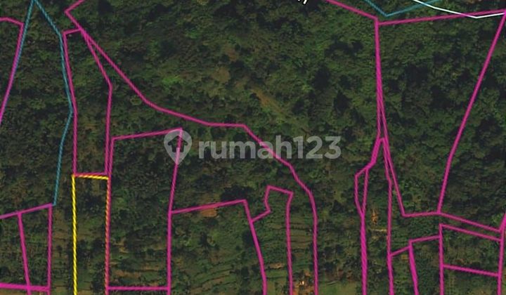 Murah tanah los sungai di Buahan - Payangan - Ubud, Bali