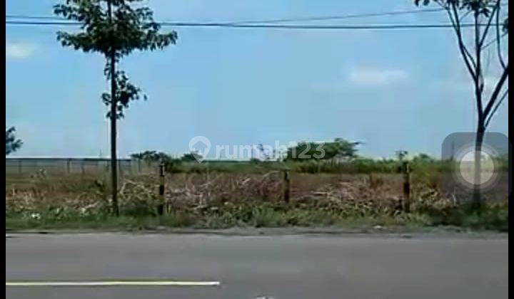 D014. Tanah Untuk Industri Kecamatan Widang, Tuban, Jawa Timur. 1