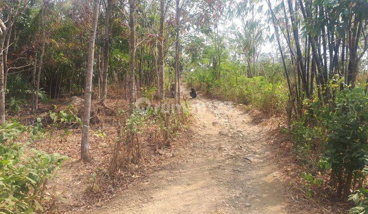 Tanah Di Kawasan Wisata Geopark Harga Sangat Murah 2