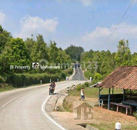 Lahan Perkebunan
Lokasi Kendal Jawa Tengah 2