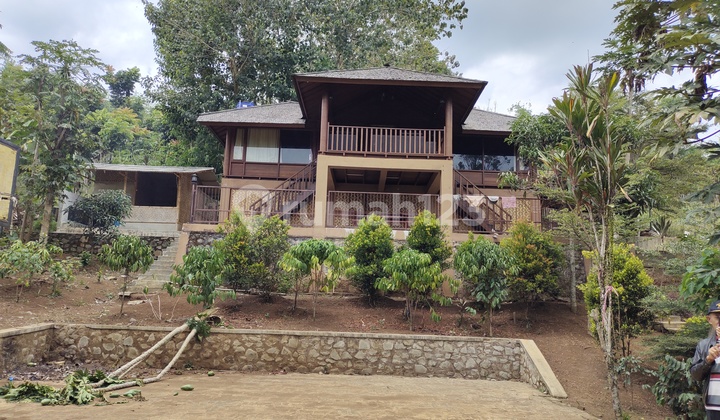 Tanah matang, ada bangunan villa diatasnya & sisanya tanah kebun Tanah matang, ada bangunan villa diatasnya & sisanya tanah kebun