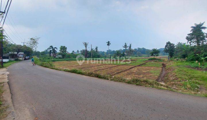 Tanah Parung murah akses Mobil cocok Usaha,Gudang,perumahan dll 1