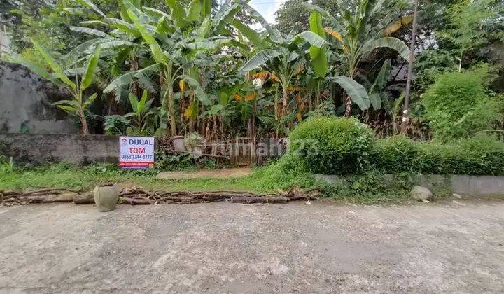 Tanah Murah Strategis Ciburial Pajajaran, Botani, Kebun Raya, Jagorawi 1