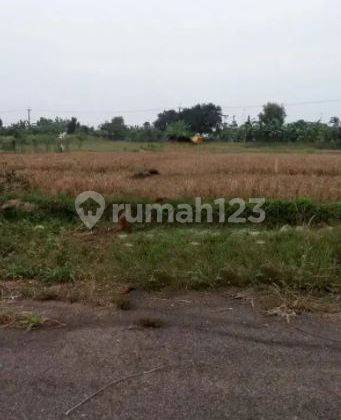 Tanah Industri Murah Strategis Cipendey Subang dekat tol Sadang Cipali 1