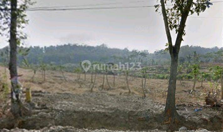 Tanah Strategis di Jeruk Lagi Cilacap 1