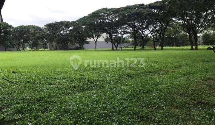 Diamond golf lot facing south rare item