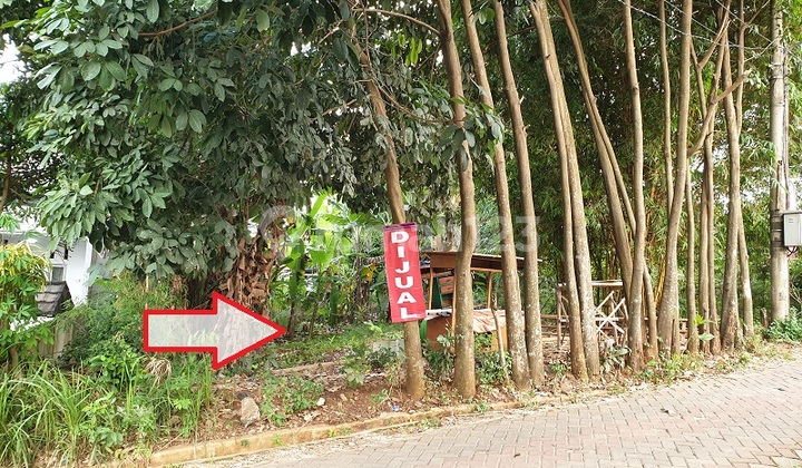 Land for Sale in Bintaro ~ Parigi Baru, near BSD Bintaro-Tangsel Road