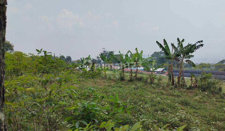 Tanah matang Lok Cilame, Ngamprah..mainroad, jalan besar akses container, view bagus. Hny 2.5km ke tol padalarang 1