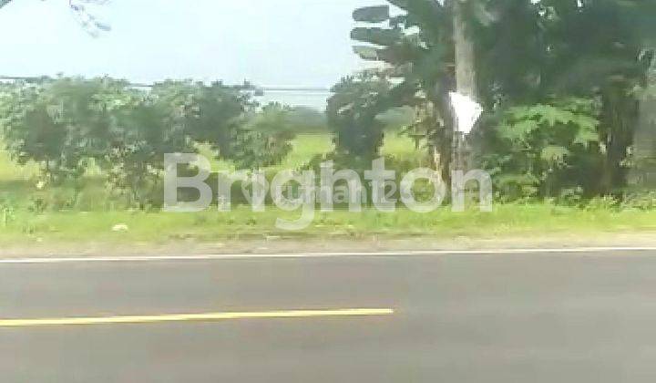 tanah di lokasi Ry provinsi solo - ngawi strategis depan rumah makan duta dan dekat tol exit ngawi 1