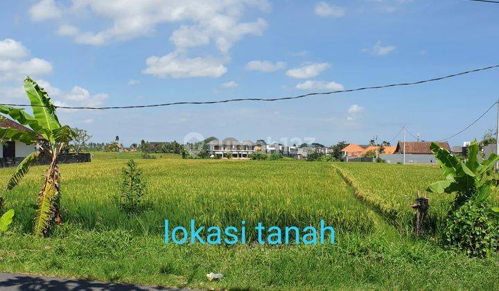 RARE! LAND BEACH SIDE FULL VIEW FIELDS &amp; CEMAGI BADUNG BEACH 2