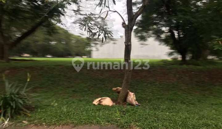 East golf course plot ready to build East golf course plot ready to build