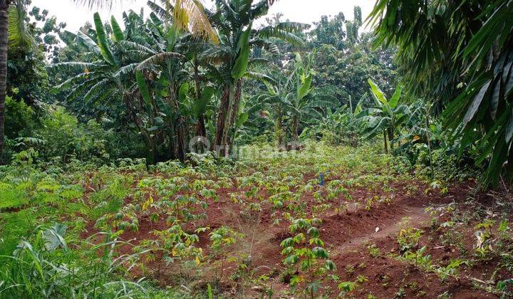 Tanah samping pintu tol Balaraja Barat lokasi bagus lempat strategis harga murah dan terjangkau 1