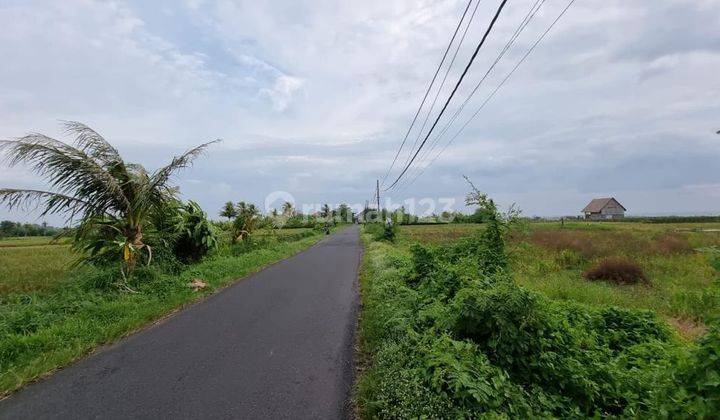 TANAH PREMIUM KELATING BEACH TABANAN DEKAT CANGGU 1