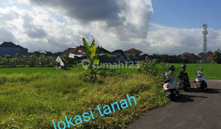 TANAH STRATEGIS PERUM ULUN CARIK KESIMAN FULL VIEW SAWAH ABADI 1