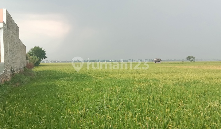 Tanah Sapan gedebage bandung Cocok untuk Gudang Tanah Sapan gedebage bandung Cocok untuk Gudang