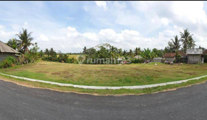 Beautiful Riverside 4150m2 Land Near Kaba-Kaba, Tabanan, Bali 1