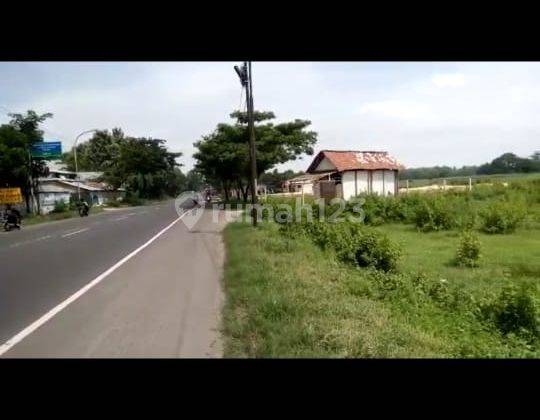 TANAH PLOT INDUSTRI JALAN RAYA PANTURA PROVINSI  SEMANDING TUBAN 1