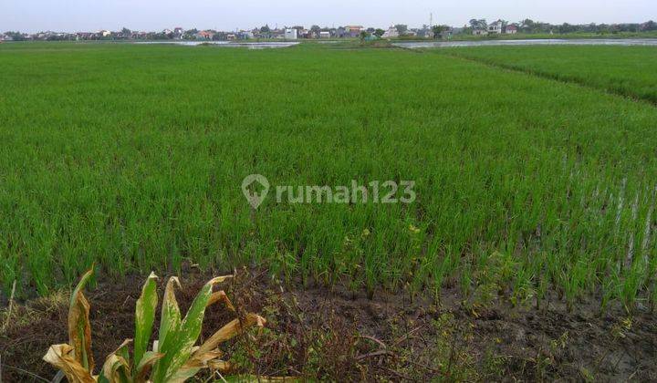 Tanah Plot Perumahan di Kwangsang Juanda 1