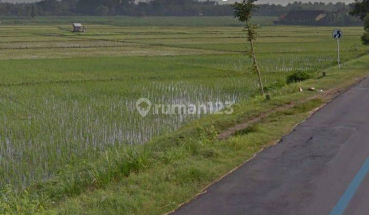 Lahan Tanah Di Jatikalen Nganjuk Zona Industri 1