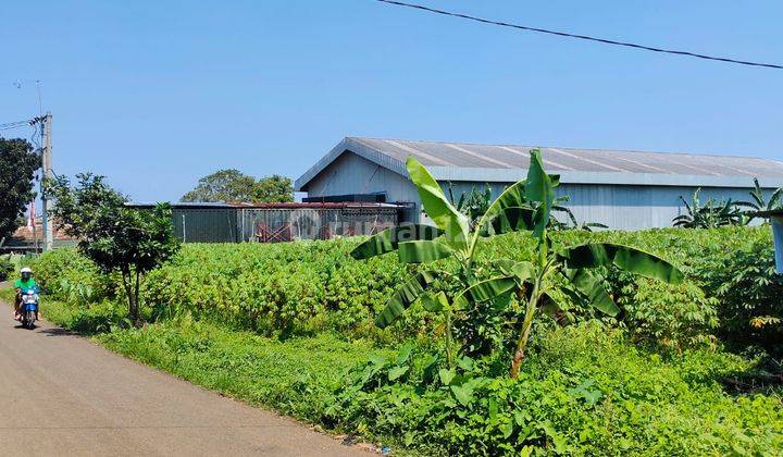 Tanah Murah di Pasir Jambu Bogor, Dekat Jalan Raya Pemda 2