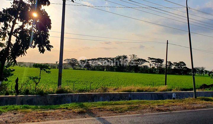 Tanah zona kuning jalur propinsi 1