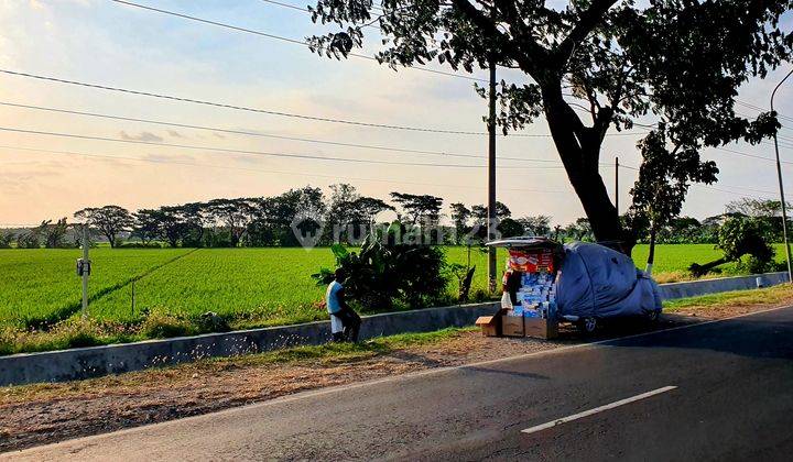 Tanah zona kuning jalur propinsi 2