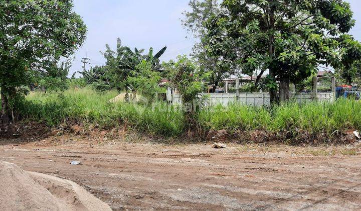 Tanah Industri Kotak Bagus di Jalan Raya Pemuda Gunung Sindur Bogor 2