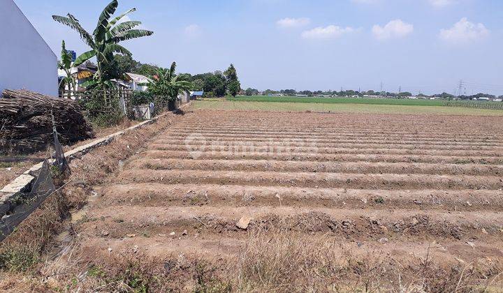 Dijual tanah cocok untuk perumahan di desa Sukakarya cikarang bekasi 1