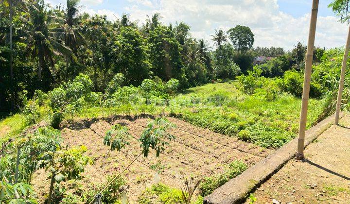 Tanah Kavling View Sungai  di Batuan Sukawati 1