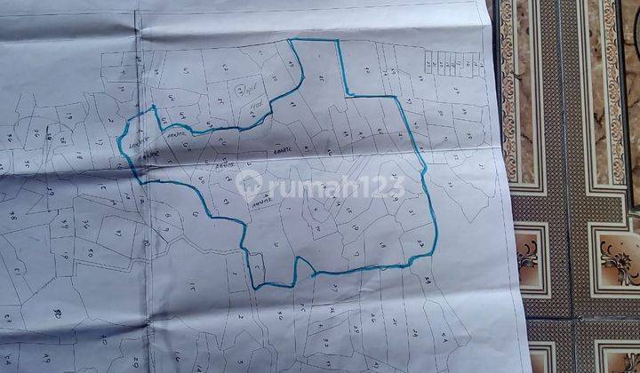 Dijual Tanah SHM 1 Ha lebar pintu masuk 70 meter di Plang Lamongan 1