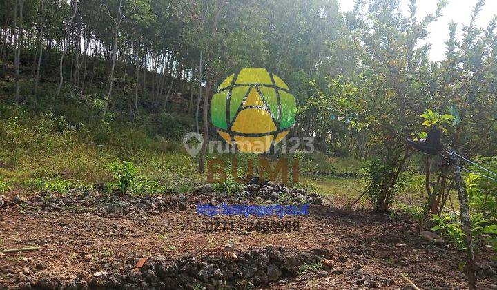 Tanah luas siap bangun dekat pantai gunung kidul 1