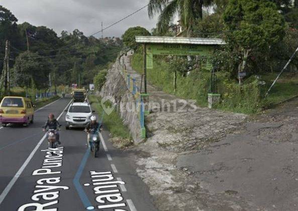 Tanah Daerah Cipanas Puncak Jawa Barat, Turun Harga 2