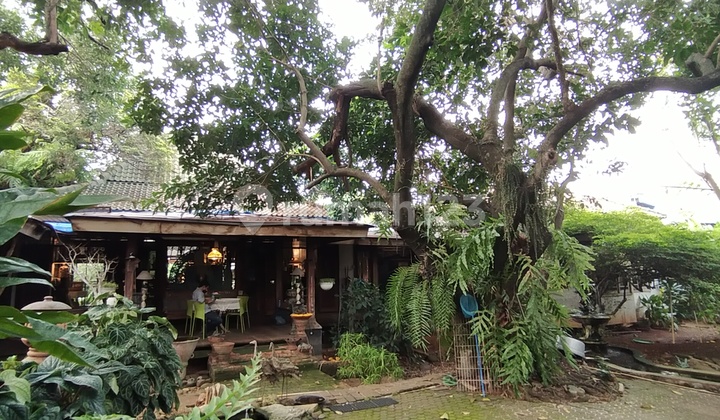 Tanah Kebun Bonus Rumah Joglo Rasa Villa Desa JakSel 6.75Juta