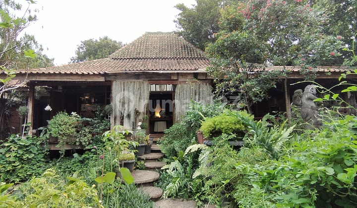 Tanah Kebun Bonus Rumah Joglo JakSel 6.9Juta