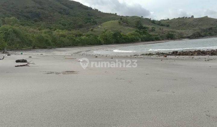 Tanah pinggir pantai, beach front. Lokasi dekat rinca, kontur tanah landai. Bagus untuk hotel dan resort 1