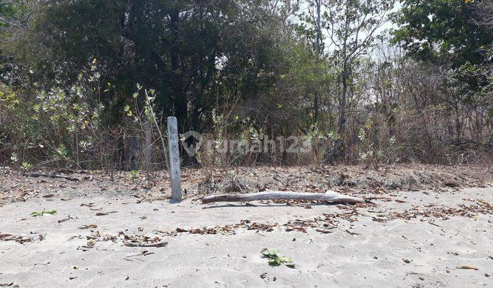 Tanah pinggir pantai, beach front. Lokasi dekat rinca, kontur tanah landai. Bagus untuk hotel dan resort 2