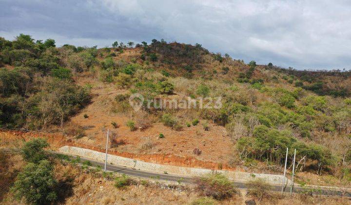 Tanah seluas 23.115 m2, Berada di pinggir jalan raya aspal hotmix, tepat dibukit dengan sunset dan ocean view 1