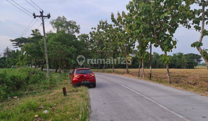 Tanah industri murah dekat tol sragen jawa tengah 1