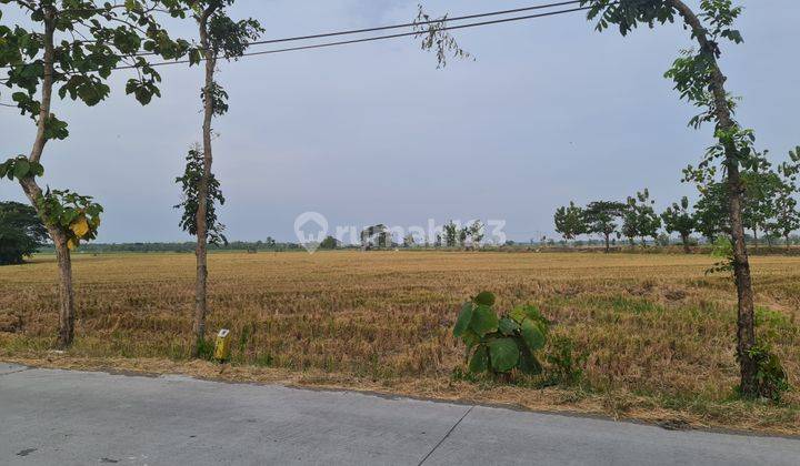 Tanah industri murah dekat tol sragen jawa tengah 2