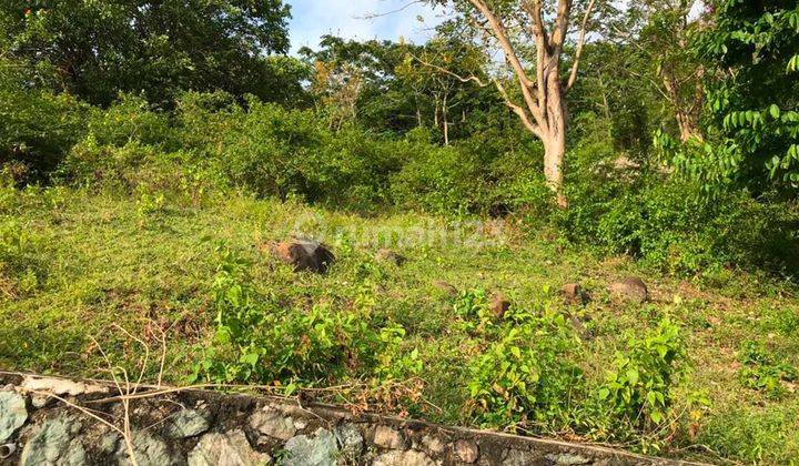 657 sqm land with ocean view on Senggigi Hill 1