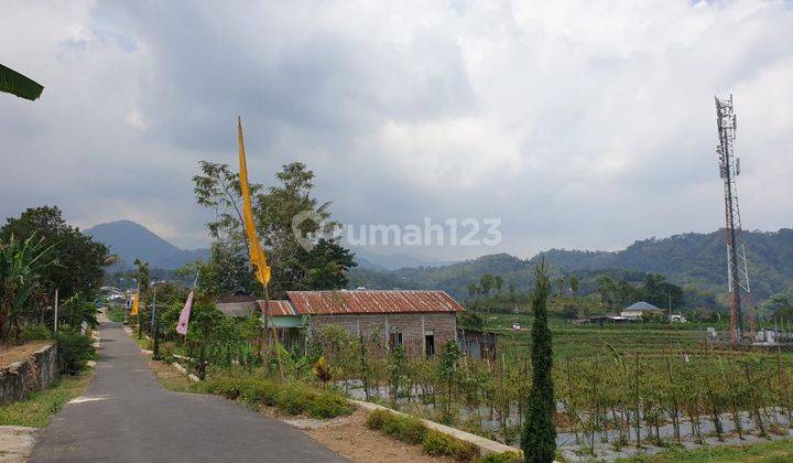 Sawah Karangpandan IDR 850Jt 1