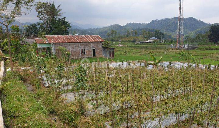 Sawah Karangpandan IDR 850Jt 1