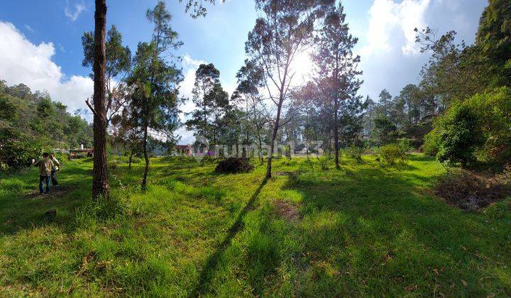 Pekarangan Timur Wisata Lawu Park Tawangmangu IDR 5M 1