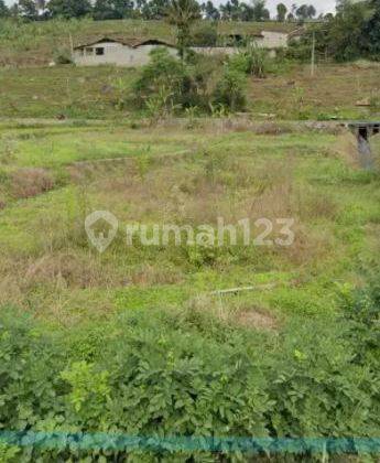 Tanah Kebun Murah Strategis Jalan Cimeta Ngamprah dekat tol Padaleunyi 2