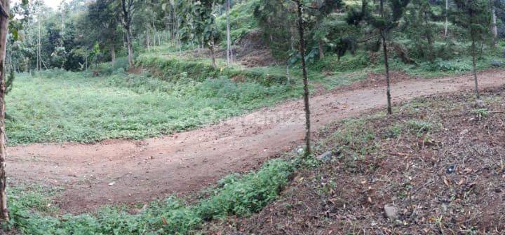 Tanah matang di pinggir Jalan Propinsi Sumedang 2